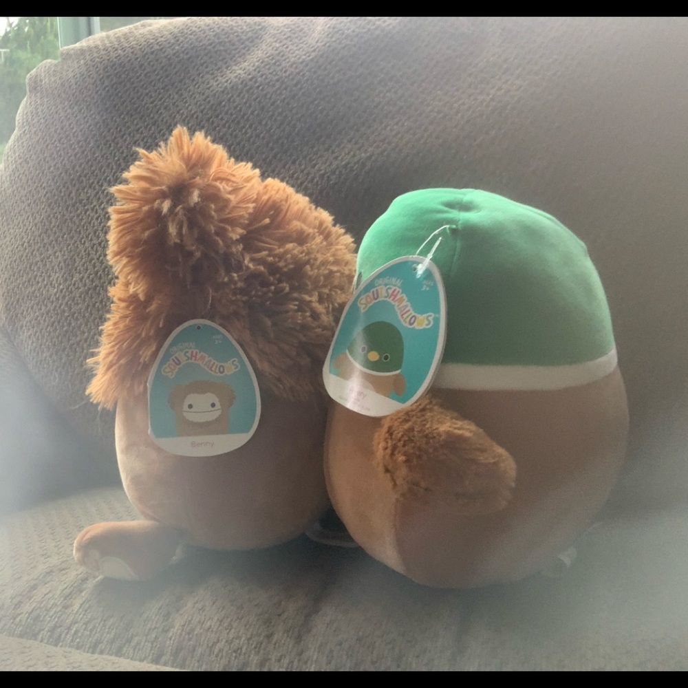 Benny and Avery squishmallows